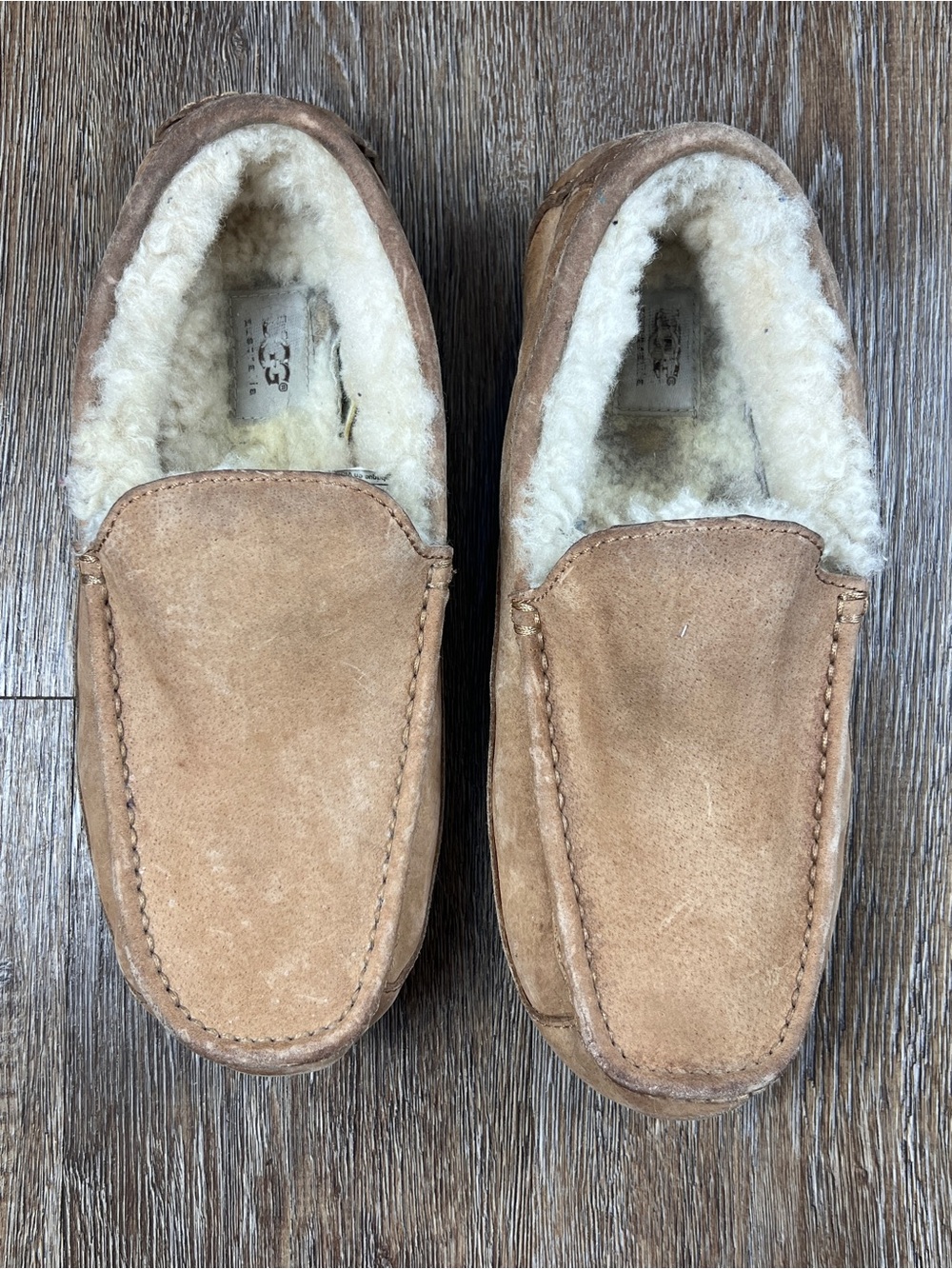 UGG Ascot Men’s Chestnut Suede Sheepskin Moccasin Slipper | Size: 11
